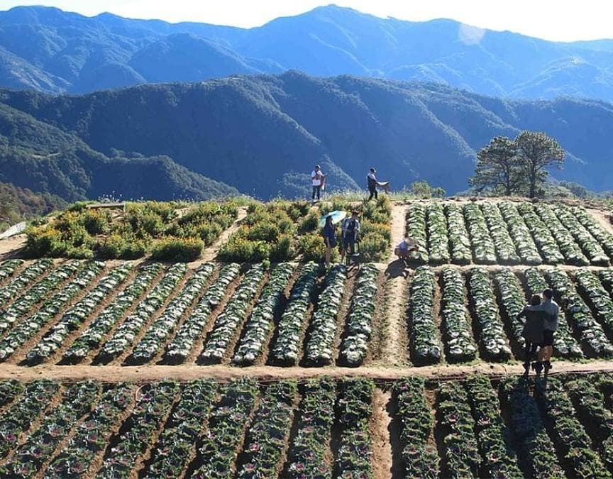 Atok Plus Baguio Tour